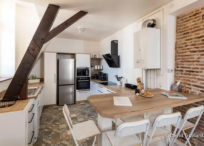 Suite Mana - Maui - Grand Loft En Duplex Avec Vue Sur Place Ducale Parking Inclus