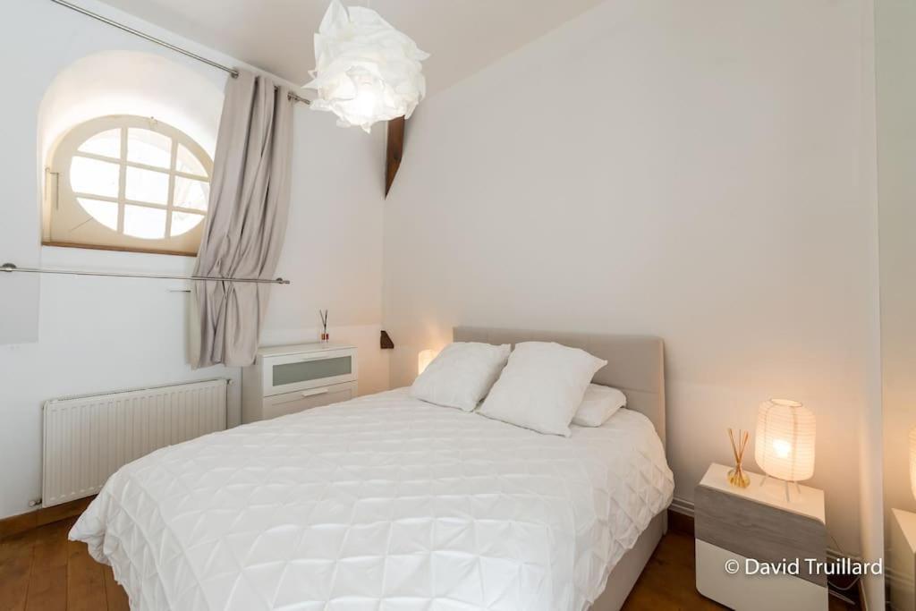 Mana - Maui - Grand Loft En Duplex Avec Vue Sur Place Ducale Parking Inclus Charleville-Mezieres