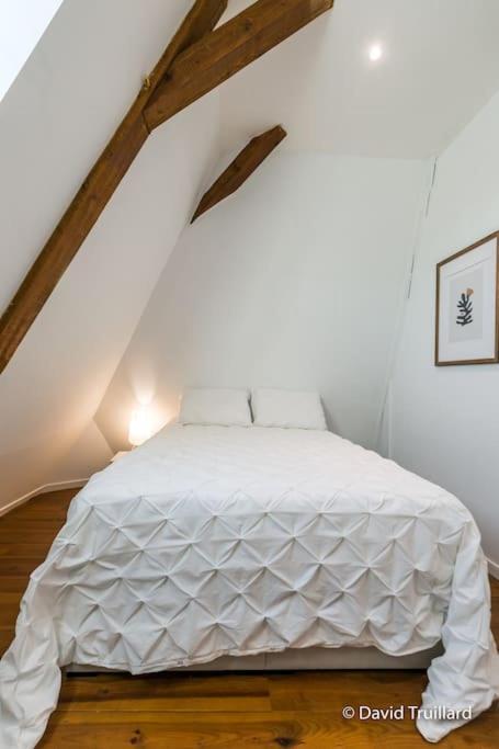 Apartment Mana - Maui - Grand Loft En Duplex Avec Vue Sur Place Ducale Parking Inclus Charleville-Mézières