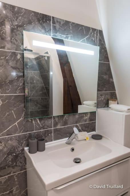 Mana - Maui - Grand Loft En Duplex Avec Vue Sur Place Ducale Parking Inclus Charleville-Mézières