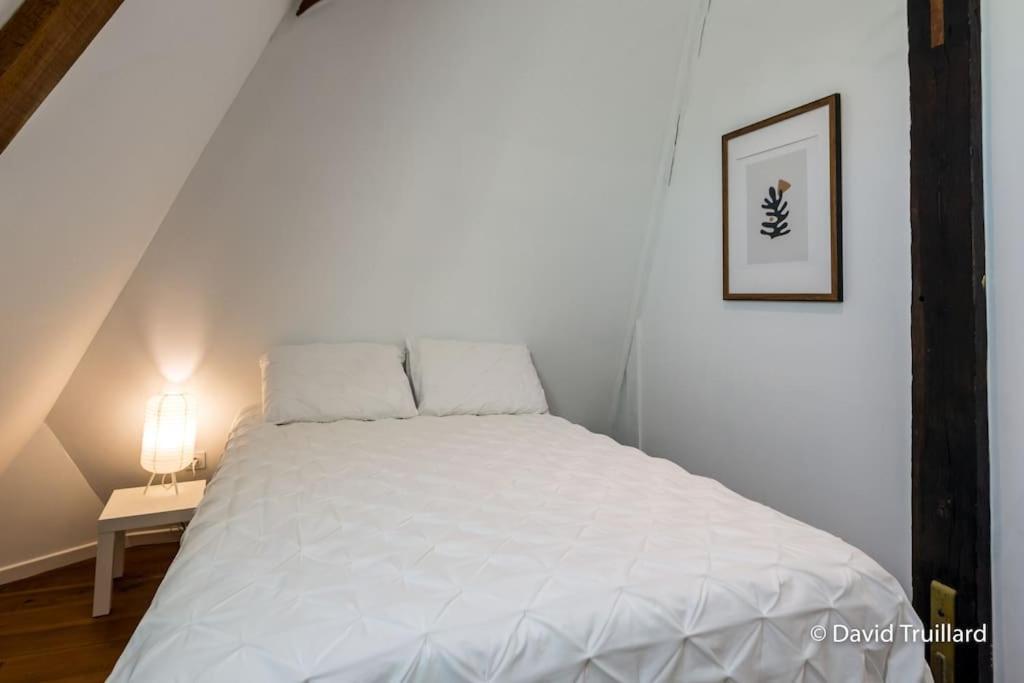 Apartment Mana - Maui - Grand Loft En Duplex Avec Vue Sur Place Ducale Parking Inclus *